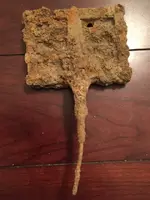 curry comb.webp