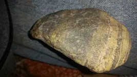 20180306_021727.webp