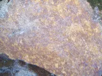 101_3593.webp