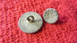 two trimes in a day 040.webp