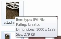 increased.webp