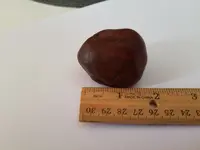 20180130_121923.webp