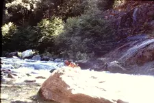 PICT0011.webp