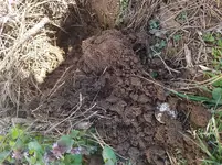 20180317_173600.webp