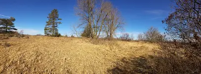 WP_20180323_11_00_50_Panorama.webp