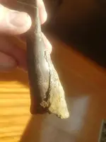 20180227_122447.webp