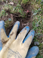 20180331_193217.webp