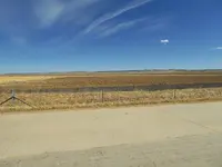 mange coyote 1.webp