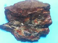 IMG_0434[1].webp