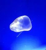 IMG_20180316_185639.webp