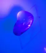 IMG_20180316_185513.webp