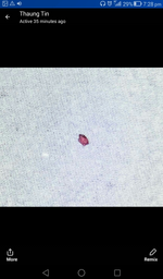 Screenshot_2018-03-14-19-28-00.webp