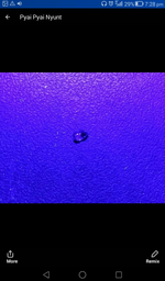 Screenshot_2018-03-14-19-28-32.webp