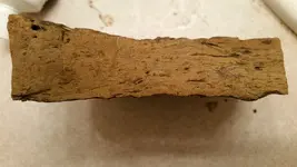 wood2.webp