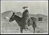 Sen. Stewart of Nevada.webp