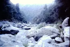 PICT0126.webp
