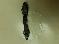 20180227_191923.webp
