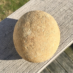 ImageUploadedByTreasureNet.com1520382633.491517.webp