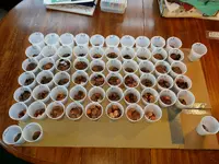 new sorting board.webp