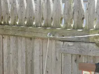 K1600_008.webp