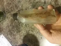 20180213_163412.webp