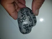 20180228_080236.webp