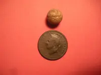 DSCN3025.webp