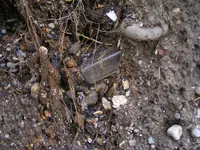 DSCF2755.webp