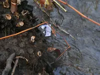 DSCF2764.webp