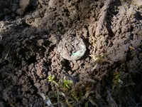 DSCF2868.webp
