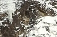 Vermont Vault.webp