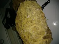 0318181957.webp
