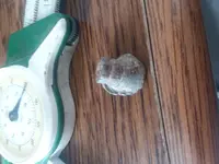 20180325_154020.webp