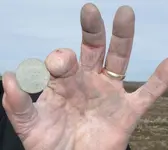Coin001.webp