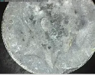 1941 coin.webp