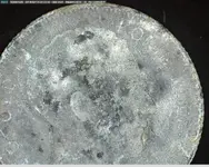 1941 coinnn.webp