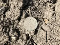 token.webp