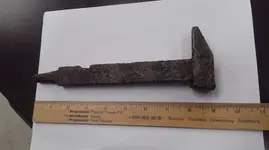 1800HAMMER.webp