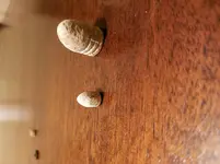 20180318_204954.webp