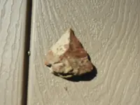 DSCN0518.webp