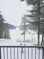 20180211_123552.webp