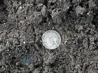 20180304_133356.webp