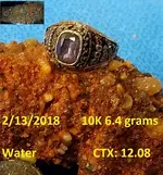DocBeav 2018 Gold Ring #6.webp