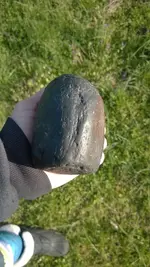 WP_20180325_010.webp