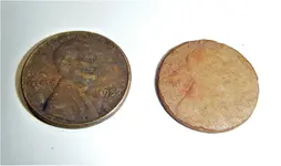 Wheat Pennies.webp Wheat Pennies.webp