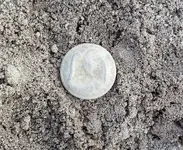 cs button dug.webp