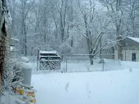 DSCF0005.webp