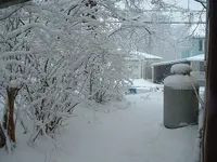 DSCF0003(1).webp