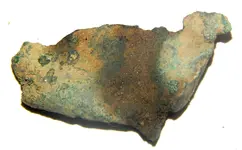 DSCN9061.webp