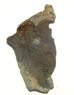 DSCN9062.webp